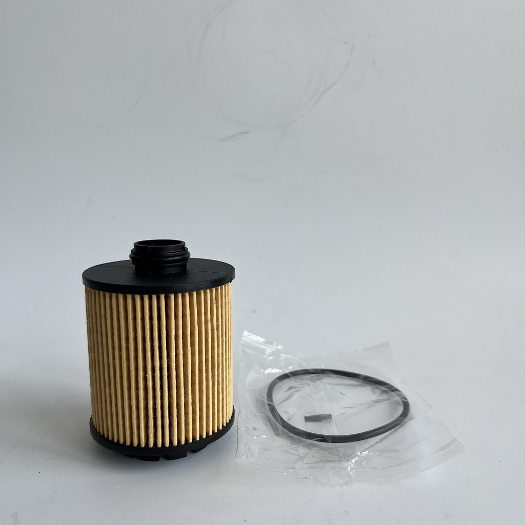 HU7043Z 1612565980 филтер за нафта за Petgeot
